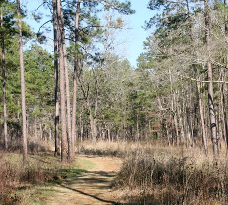 Birdsong Nature Center