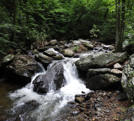 Chattahoochee National Forest