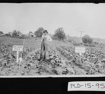 Paulding County Farmer