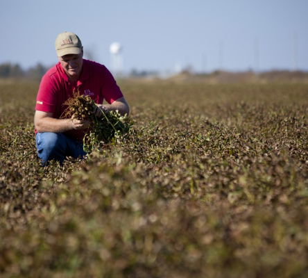 Peanut Farmer