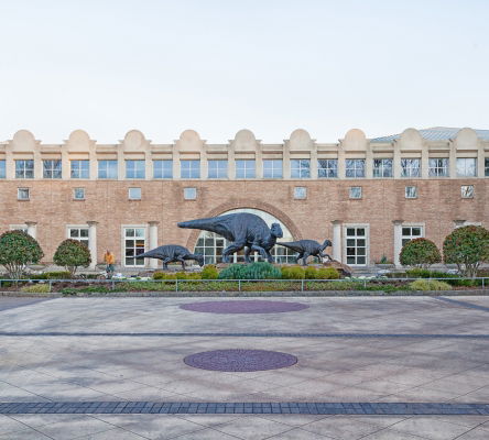 Fernbank Museum of Natural History