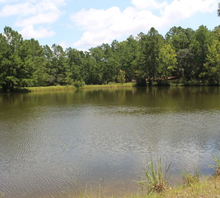 General Coffee State Park