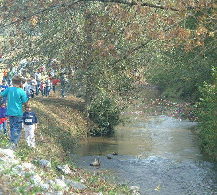 Great Beaver Creek Duck Race