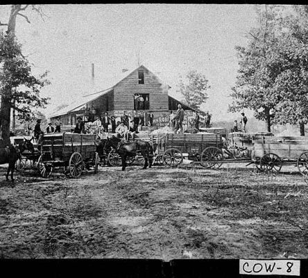 Handy Community, 1905