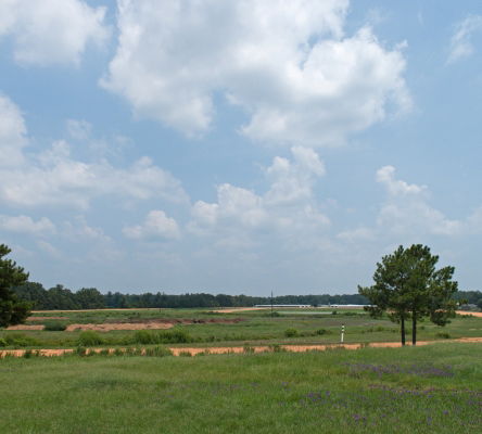 Harness Horse Racing Track
