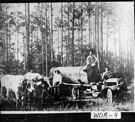 Logging, Worth County