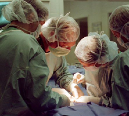 UGA College of Veterinary Medicine