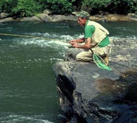 Trout Fishing