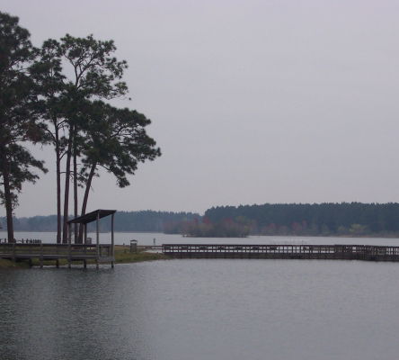 Paradise Public Fishing Area