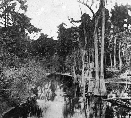 Satilla River
