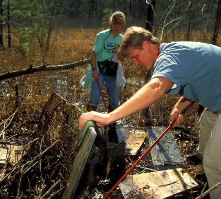 Searching for Snakes