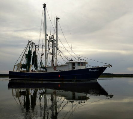 Shrimp Boat