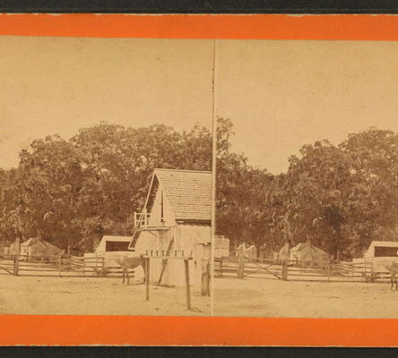 Savannah Rice Plantation