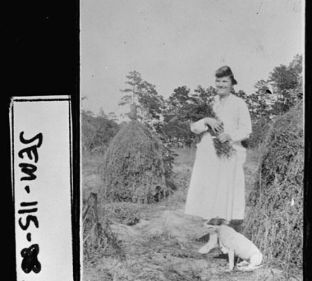 Seminole County Peanut Field